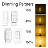 Rayhoo E12 Dimmable LED Candelabra Light Bulbs 4W 110V Edison
