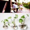 Yarlung 6 Pack Wall Hanging Planters Terrarium, 4.7 Inch Glass