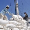 15 Pack Woven Rubble Sacks - Heavy Duty Polypropylene Woven