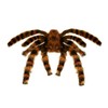 Tarantula Furry 65cm Bendable Accessory for Fancy Dress