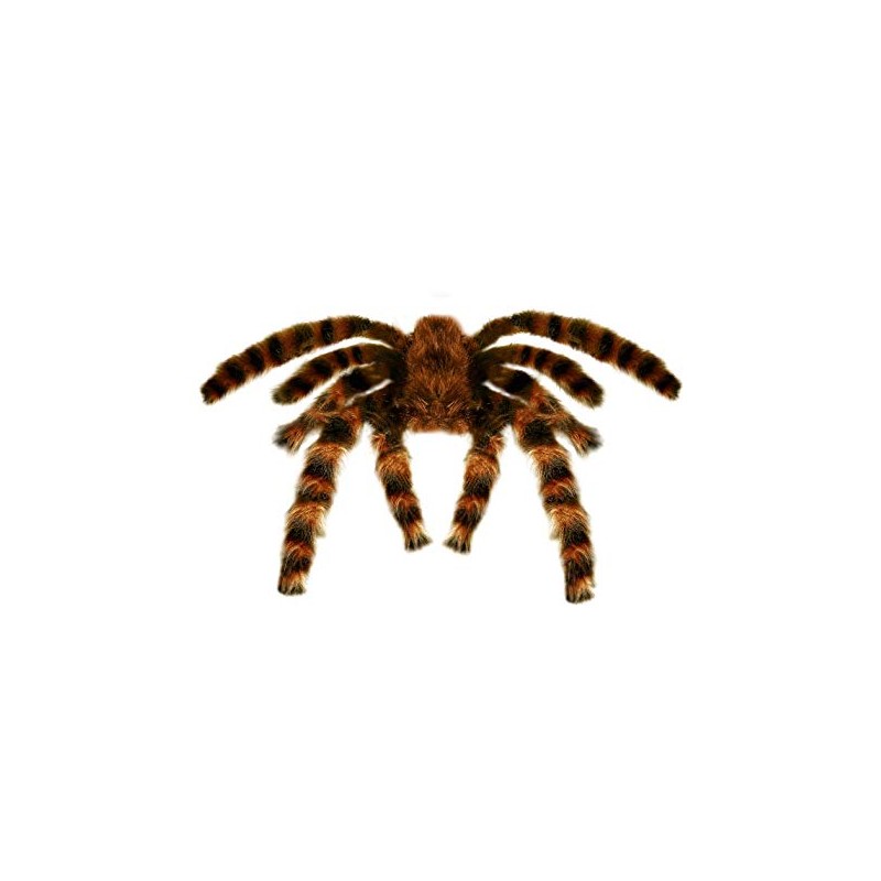 Tarantula Furry 65cm Bendable Accessory for Fancy Dress