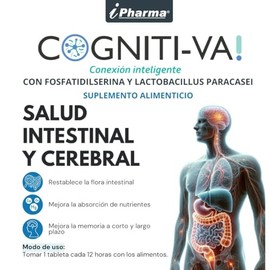 Probióticos para la flora intestinal + Fosfatidilserina mejora la concentración Cognitiva 60 tabletas