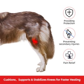 QCBF Dog ACL Knee Brace, Dog Knee Brace for Torn ACL Hind Leg, Dog ACL Brace hind Leg, Dog Leg Braces for Back Leg, Dog Hip Brace, Cruciate Care Knee Brace for Dogs (Large)