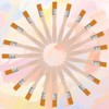 Pack of 20 flat brushes, paint brushes, bristle brush, window