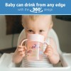 Dr. Brown's Dr Brown's Milestones Cheers 360 Spoutless Cup with