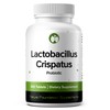 Lactobacillus Crispatus Probiotic Supplement 240 Tablets 3 Billion CFU Probiotics