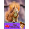 Squirrel Animal Valentines Day Card