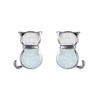 Kaguyo sterling silver Earrings for women, 925 sterling Silver blue/white