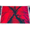 Blair Witch Postcards (Matte Paper)