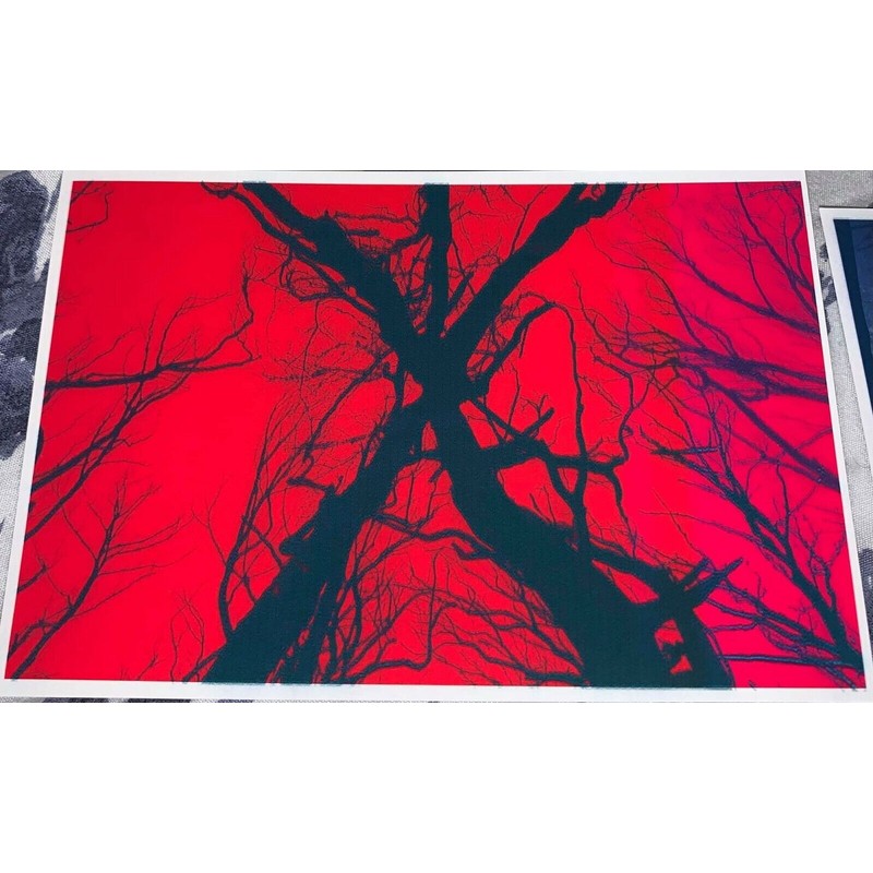 Blair Witch Postcards (Matte Paper)