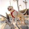 EzyDog Adjustable Chest Plate Harness - Small, Medium, XL, &