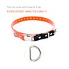 Quick Snap Bungee Dog Collar Strap with D Ring for