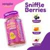 Squiggles Squiggles Sniffle Berries (100 Count) + Multivitamin Iron Gummies