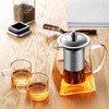 Tomotato Glass Teapot with Removable Stainless Steel Infuser, Heat-Resistant Clear