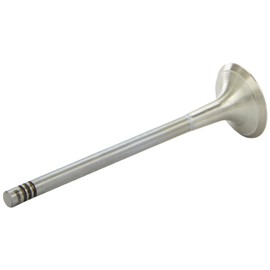 AE V94692 Exhaust Valve