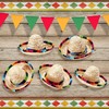 2 Pack Bearded Dragon Sombrero Hats - Lizard Cinco De