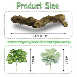 Apatal Reptile Branch Decor 2 Pcs Snake Climbing Wood Branches Lizard Habitat Decorations Terrarium Natural Forest Tree Trunk Ornament for Bearded Dragon Geckos Chameleon Frog