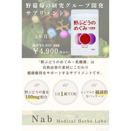 野ぶどうのめぐみ＋乳酸菌 サプリメント・90錠