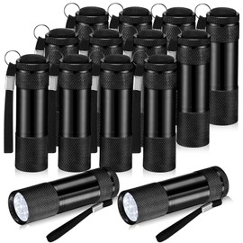 VIHOSE 12 Pcs Mini Flashlights Bulk, Bright Aluminum Handheld Flash Lights with Lanyard, Small LED Flashlights for Kids Night Reading Emergency Hurricane Camping Hiking Party Favors(Black)