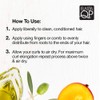 ELASTA QP Olive Oil & Mango Butter Glaze (3 Pack)