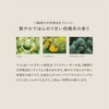 Leaf & Botanics Smooth Hair Emulsion