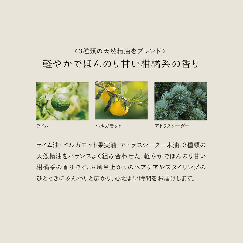 Leaf & Botanics Smooth Hair Emulsion