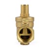 Topteng DN25 1" Brass Adjustable Water Pressure Reducing Regulator Valves
