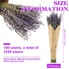 Jutom 12 Pack Total 2280 Stems Dried Lavender Bundle Bulk