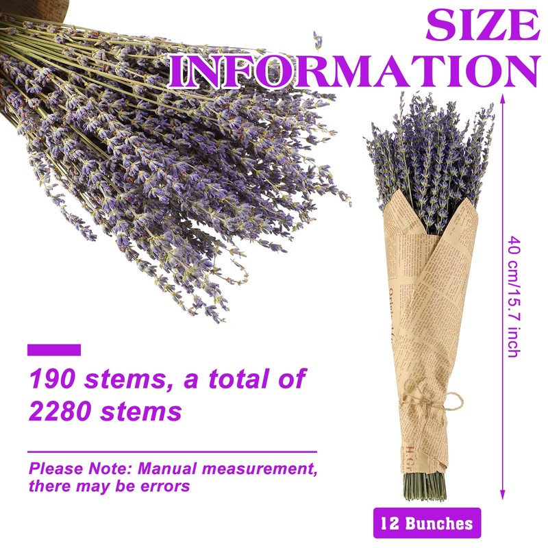 Jutom 12 Pack Total 2280 Stems Dried Lavender Bundle Bulk
