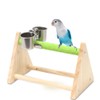 Parakeet, Bird Supplies, Stand, Nail Sharpener, Perch, Tabletop, Stand, Toy,
