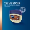 Vaseline Cocoa Butter Healing Jelly Travel-Size 12-Pack – Rich Moisturizing