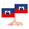 ZXvZYT Toothpick flag (Haiti)