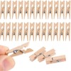 Mini Clothespins Wooden,50 Pack Natural Wooden Small Clips, Mini Pins