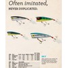 Rebel Lures P6503 Lures Magnum Pop R Fishing Lure (3-Inch,