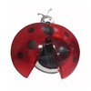Galix Solar Ladybird Garden Decoration with Clip, LED Light, 6