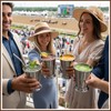 Gandeer 4 Pack Derby Mint Julep Cups with Straws 3D