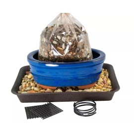 Yubonzai 5" Oval Blue Glazed Bonsai, Succulent Pot + Soil + Tray + Rock + Mesh & Wire Kit