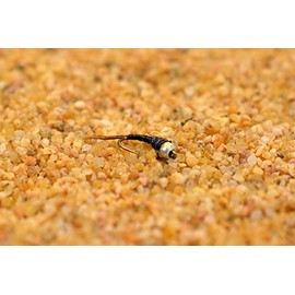 Tungsten Bead Black Ops Rainbow Warrior Midge Nymph Fly - 12 Flies - Mustad Signature Hook - Choose Size (Hook #22)