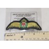 PPL Flight Wings Private Pilot Costume Patch Iron On Applique