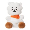 Aurora, 61505, BT21 RJ Palm Pal, 5In, Eco-friendly soft toy,