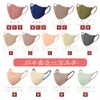 [アイリスオーヤマ] 【60枚セット】 マスク 不織布 バイカラー ツートンカラーマスク DAILY FIT MASK 立体