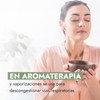 Hebbe - Aceite Esencial de Eucalipto 100% Puro, Calmante y