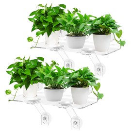 2 PCS Acrylic Window Plant Shelf Efficient Space Use Window Plant Stand with Suction Cup No Punch Installation for Home Office(transparent color,2)