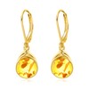 POPLYKE Amber Earrings - Sterling Silver Round Amber Gold Leverback