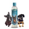 Bio-Groom DBB25012 So Gentle Hypo-Allergenic Dog and Cat Shampoo, 12-Ounce