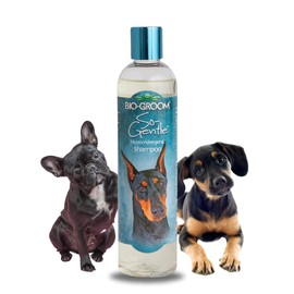 Bio-Groom DBB25012 So Gentle Hypo-Allergenic Dog and Cat Shampoo, 12-Ounce                                                                            