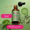 Aceite Capilar Mielle Organics Con Romero Y Menta, Puntas Ab