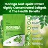 VivoNu Moringa Capsules | Pure Moringa Leaf Extracts, Energy, Skin