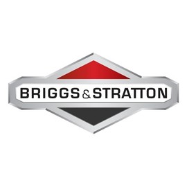 Briggs & Stratton OEM 84003825 Cup Oil Filter