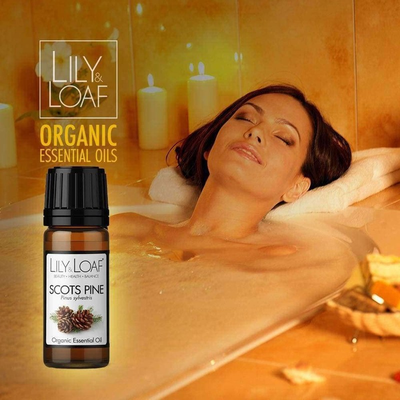 Lily & Loaf Scots Pine Organic Essential Oil (Pinus sylvestris)